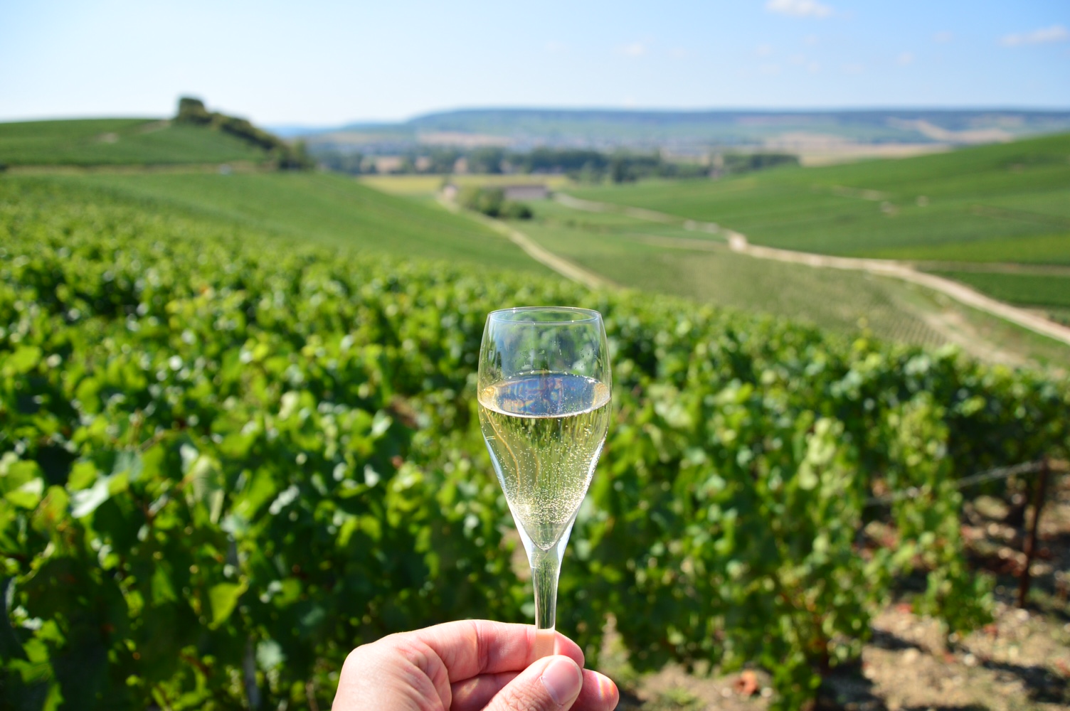 A Paris to Champagne Day Trip: Champagne Tasting in Reims